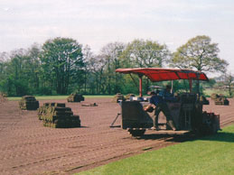 Industrial turf laying by machine