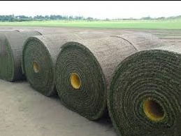 machine layable turf in large rolls